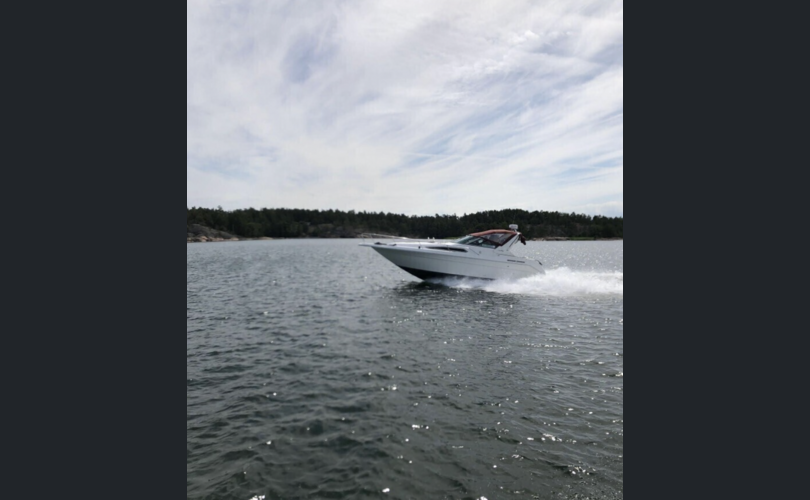 Sea Ray Sundancer 280-kuva-3